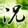 丁克